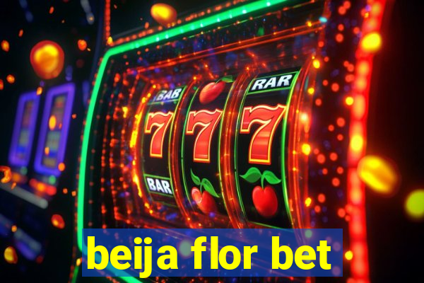 beija flor bet